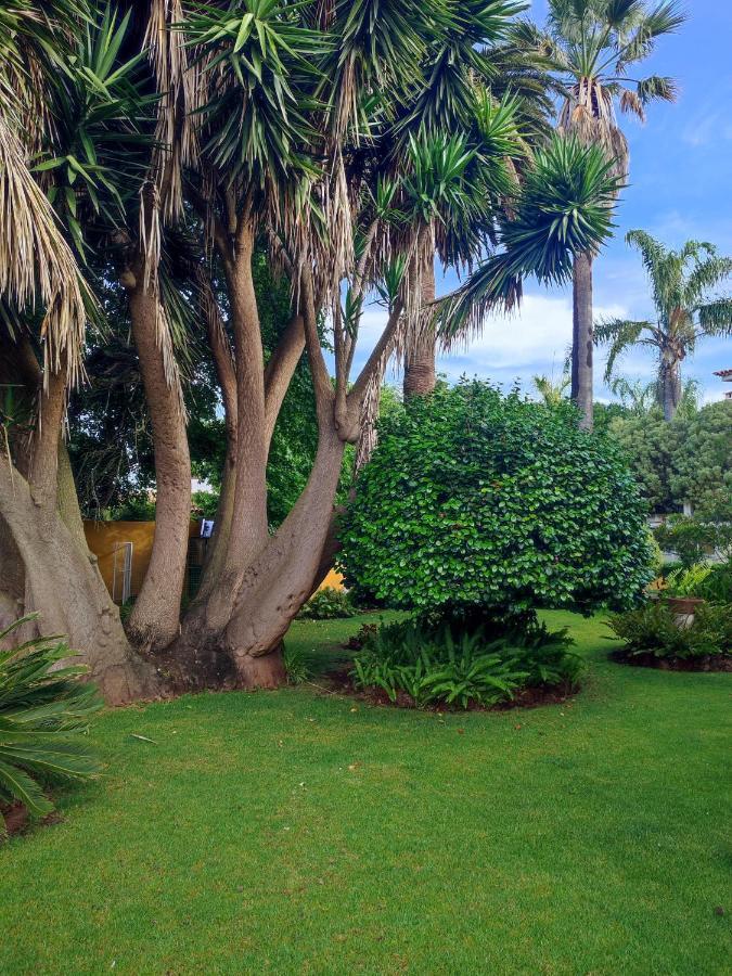 La Chimenea Verde Такоронте Екстер'єр фото